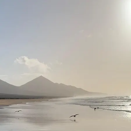 Lejlighed Welooveyou Solymar Calma&pool - Starlight Vv