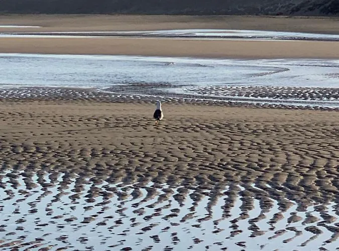 Welooveyou Solymar Calma & Pool - Starlight Vv شقة كوستا كالما